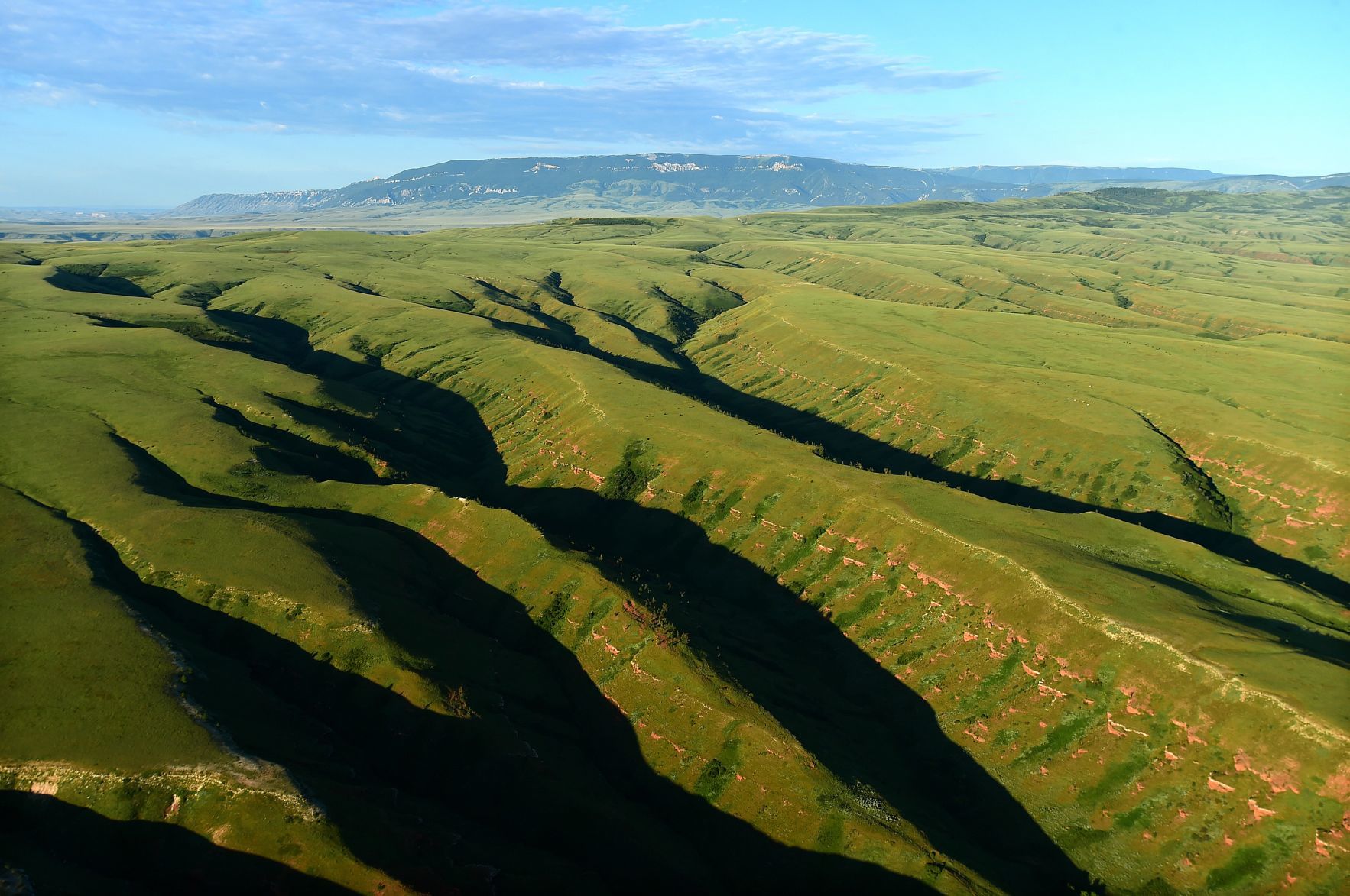 Pryor Mountains